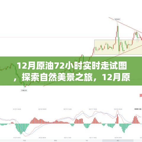 揭秘原油走勢圖背后的故事，探尋自然美景之旅的實(shí)時(shí)追蹤報(bào)告