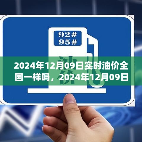 全國油價實(shí)時動態(tài)，2024年12月09日油價查詢與應(yīng)對策略指南