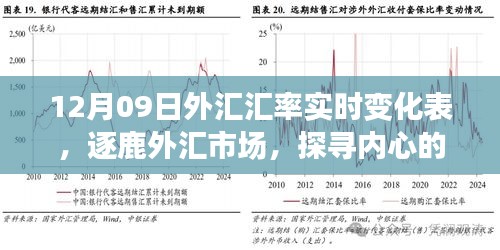 揭秘外匯市場風(fēng)云變幻，探尋匯率背后的故事——12月09日外匯匯率實時變化表解析