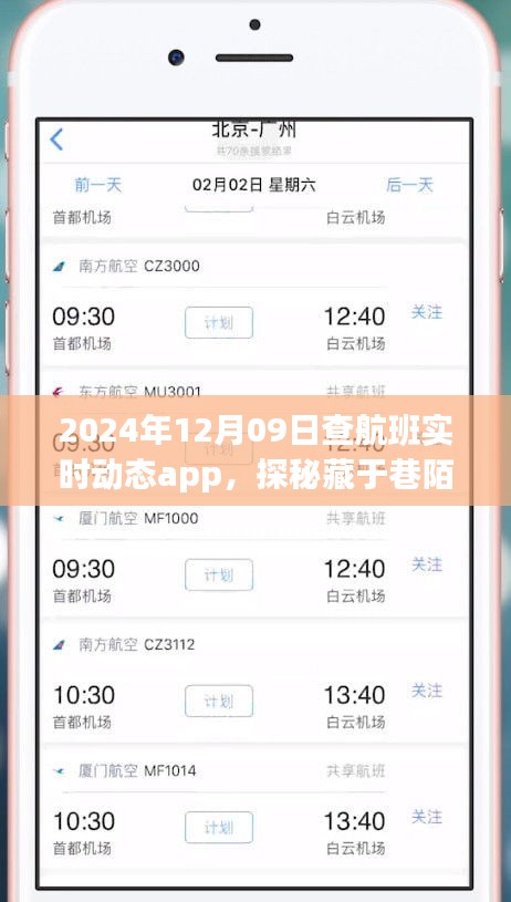 探秘航班實(shí)時(shí)動(dòng)態(tài)小天地，2024年12月9日的奇妙航班查詢之旅