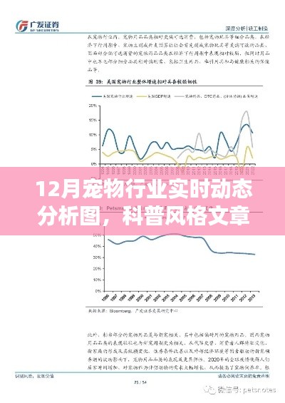 揭秘寵物行業(yè)趨勢，12月寵物行業(yè)實時動態(tài)科普分析圖