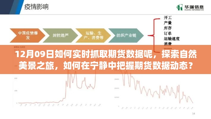 探索自然美景之旅與實(shí)時(shí)抓取期貨數(shù)據(jù)，寧?kù)o中的動(dòng)態(tài)把握策略