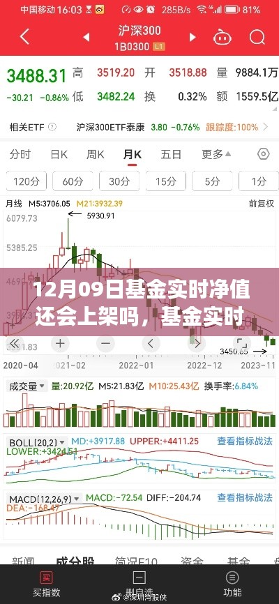 十二月九日基金實時凈值上架預(yù)測與動態(tài)解析