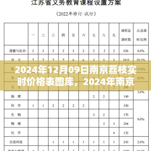 2024年南京荔枝實(shí)時價格表圖庫制作指南，從初學(xué)者到進(jìn)階用戶全攻略