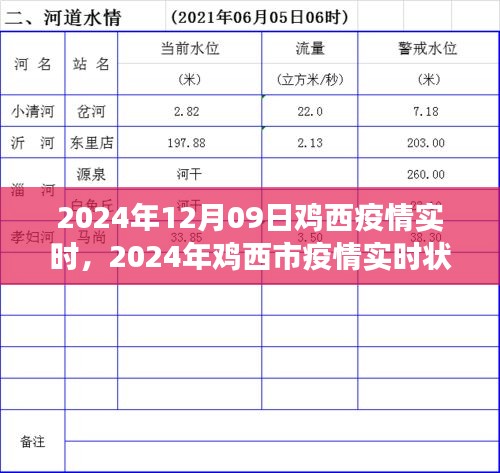 2024年雞西市疫情實(shí)時狀況深度解析與觀點(diǎn)闡述