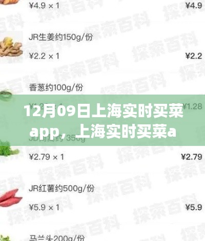 上海實(shí)時(shí)買菜app使用指南，從初學(xué)者到進(jìn)階用戶的全方位指南（12月09日版）