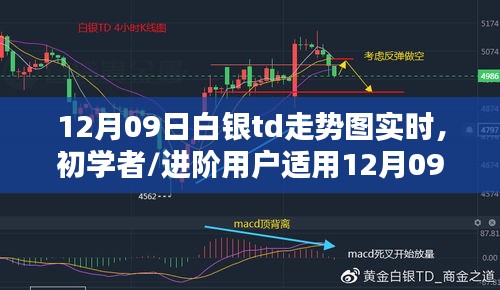 12月09日白銀TD走勢圖實時分析指南，適合初學者與進階用戶