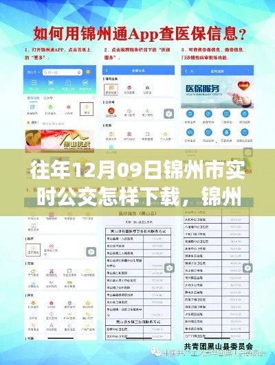 錦州市實時公交查詢APP下載指南，以往年12月09日為例的教程分享