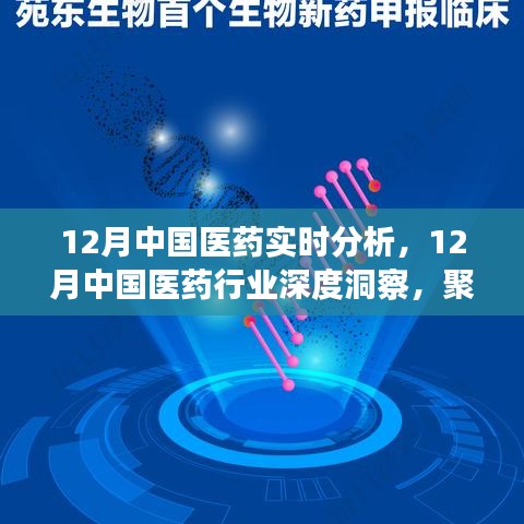 聚焦實(shí)時(shí)分析，探尋中國醫(yī)藥行業(yè)深度洞察與發(fā)展之路