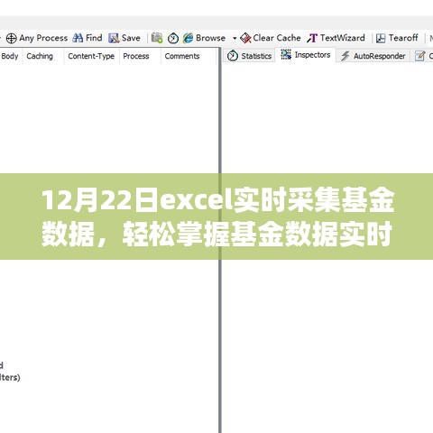 Excel基金數(shù)據(jù)實時采集進階，掌握實時動態(tài)，輕松管理投資組合（12月22日）