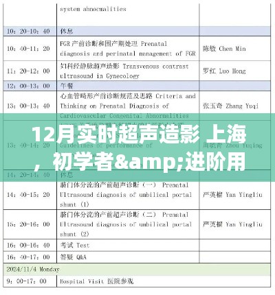 12月上海實(shí)時(shí)超聲造影操作全攻略，從初學(xué)者到進(jìn)階用戶的必備指南