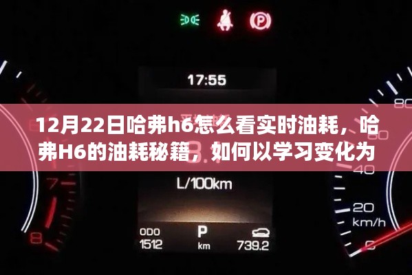 哈弗H6實時油耗秘籍，學(xué)習(xí)變化為燃料，駛向自信彼岸的指南