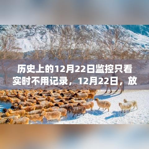 12月22日，放下記錄，心靈旅行的日子