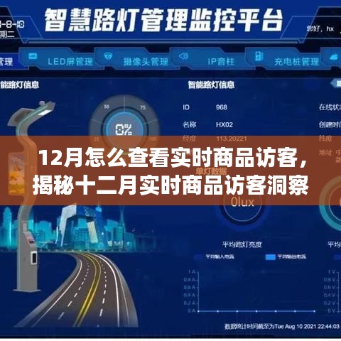 揭秘十二月實(shí)時(shí)商品訪客洞察，洞悉訪客動(dòng)態(tài)與商業(yè)進(jìn)展的秘訣