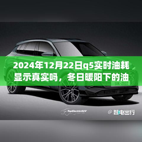 冬日暖陽下的真相探尋，2024年Q5實時油耗顯示的可信度與友情之旅