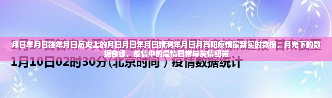 月高陽疫情最新實(shí)時(shí)數(shù)據(jù)與月光下的數(shù)據(jù)奇緣，歷史視角下的溫情日常與友情紐帶