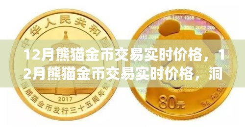 12月熊貓金幣實時交易價格，洞悉市場動態(tài)，把握投資機會