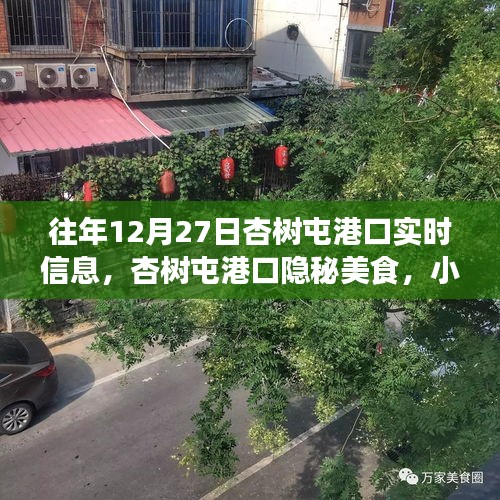 杏樹屯港口，美食秘境與實(shí)時(shí)信息的探索之旅