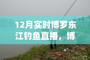 博羅東江畔的釣魚盛宴，12月實(shí)時釣魚直播開啟！