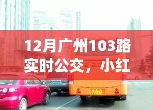 揭秘廣州公交新體驗，小紅書推薦下的廣州公交103路實時動態(tài)（12月版）