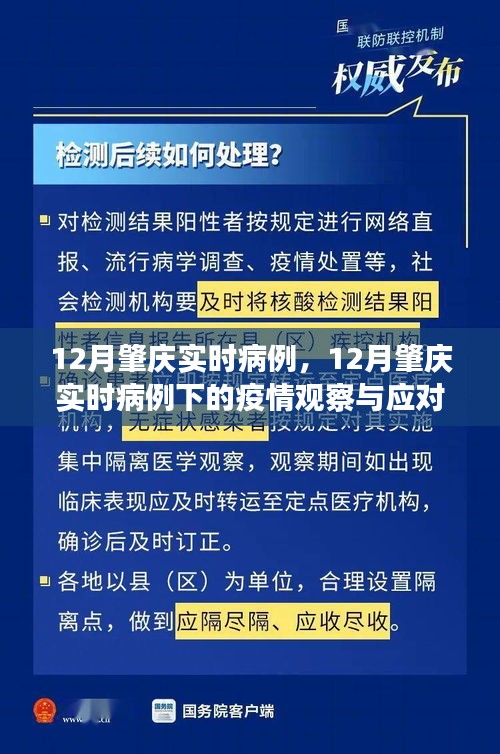 關(guān)于肇慶市實(shí)時病例的觀察與應(yīng)對策略之我見，疫情下的深度探討