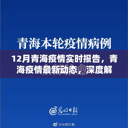 青海疫情深度解析，十二月實(shí)時(shí)報(bào)告與最新動(dòng)態(tài)