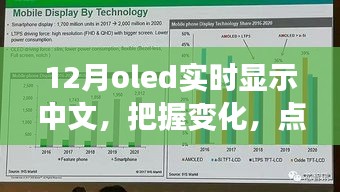 12月OLED中文實時顯示，把握變化，點亮未來——展現(xiàn)你的中文魅力