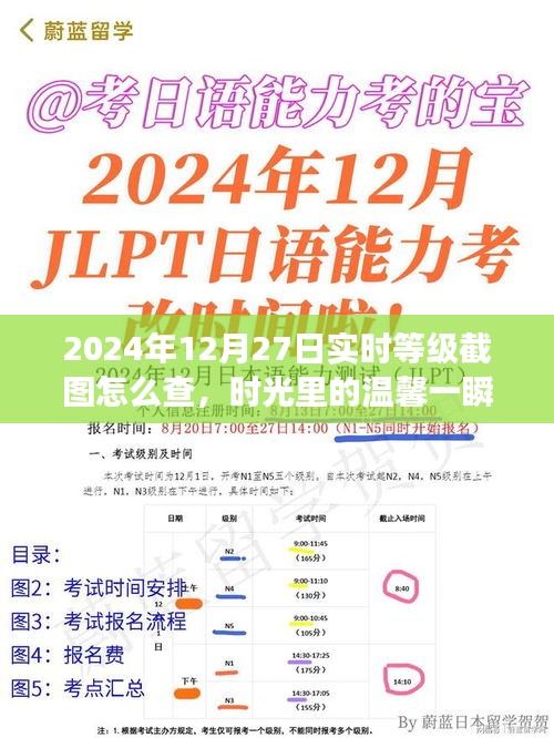 2024年12月27日等級截圖揭秘，時光溫馨一瞬，友誼見證時刻