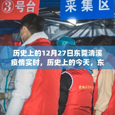 東莞清溪疫情下的勵志篇章，實時歷程、學習成就與自信之光閃耀十二月二十七日