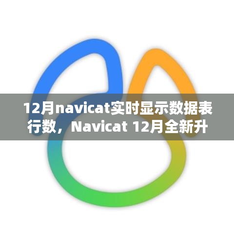 Navicat 12月升級亮點，實時數(shù)據(jù)表行數(shù)顯示，科技助力數(shù)據(jù)管理便捷性