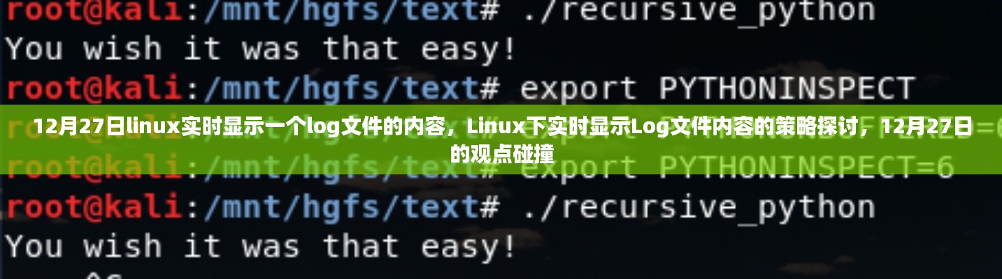 Linux下實(shí)時(shí)顯示Log文件內(nèi)容的策略探討，觀點(diǎn)碰撞與實(shí)時(shí)更新技術(shù)