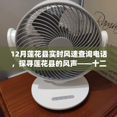 探尋蓮花縣風聲，十二月實時風速查詢電話全解析