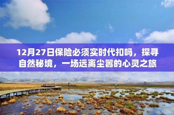 保險代扣與心靈之旅，探尋自然秘境的遠(yuǎn)離塵囂之旅