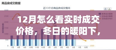 冬陽下的實時成交價格探索之旅，與友共賞奇妙之旅