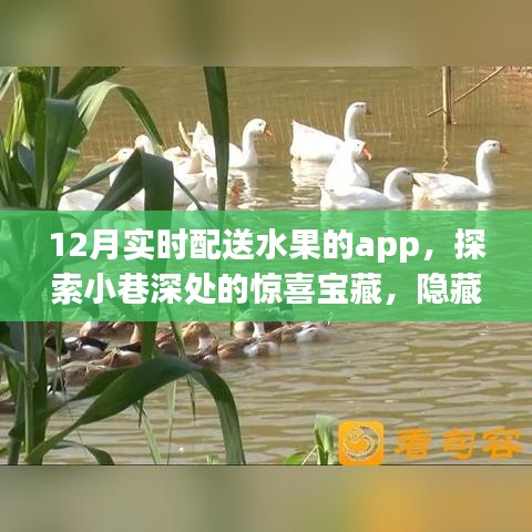 探索小巷深處的鮮果寶藏，12月實時配送水果APP驚喜上線