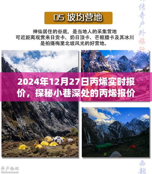 探秘丙烯報價秘境，揭秘2024年12月27日丙烯實時行情與報價深度解析