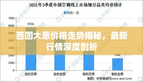 西固大蔥價(jià)格走勢(shì)揭秘，最新行情深度剖析