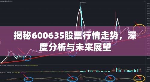 揭秘600635股票行情走勢，深度分析與未來展望