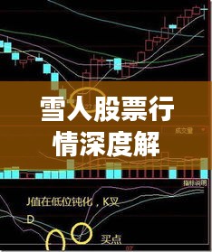 雪人股票行情深度解析，最新價(jià)格走勢(shì)與投資建議