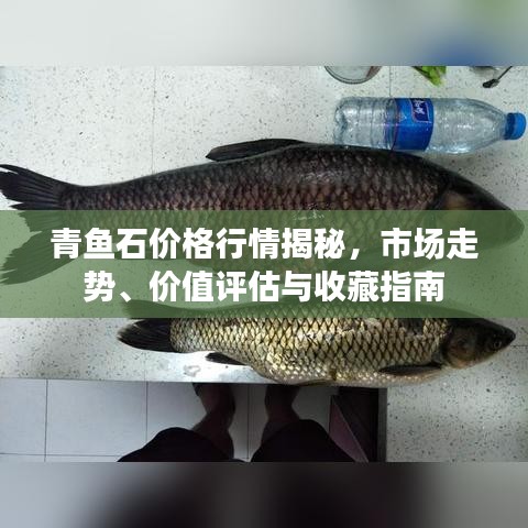 青魚(yú)石價(jià)格行情揭秘，市場(chǎng)走勢(shì)、價(jià)值評(píng)估與收藏指南