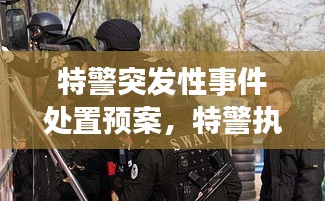 特警突發(fā)性事件處置預(yù)案，特警執(zhí)勤突發(fā)事件視頻 