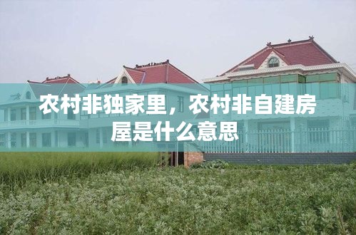 農村非獨家里，農村非自建房屋是什么意思 