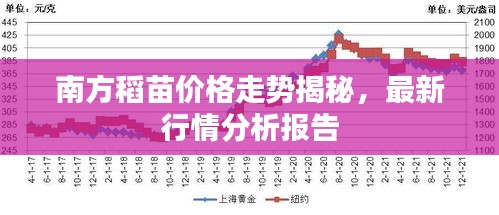 南方稻苗價格走勢揭秘，最新行情分析報告