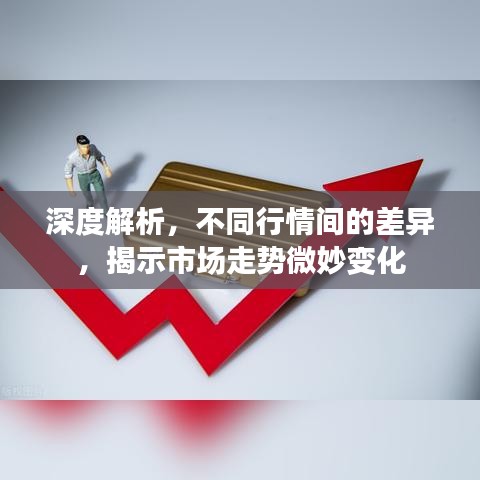 深度解析，不同行情間的差異，揭示市場走勢微妙變化