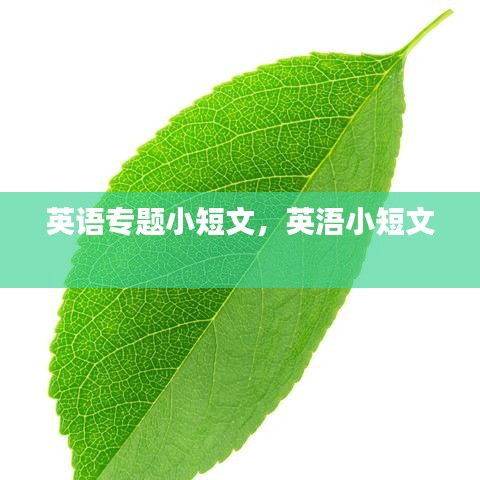 英語專題小短文，英浯小短文 