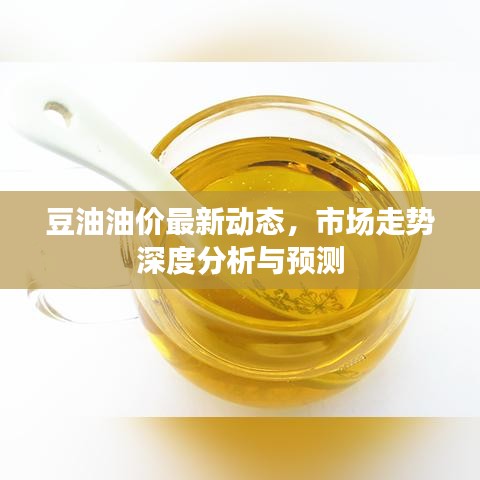 豆油油價(jià)最新動(dòng)態(tài)，市場(chǎng)走勢(shì)深度分析與預(yù)測(cè)