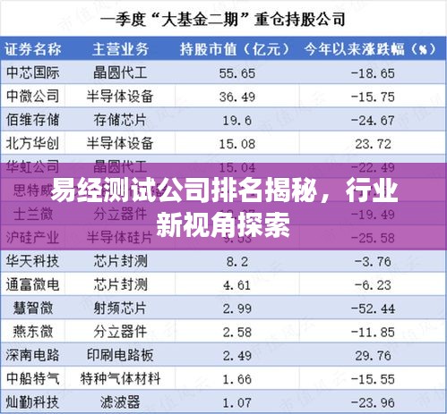 易經(jīng)測試公司排名揭秘，行業(yè)新視角探索