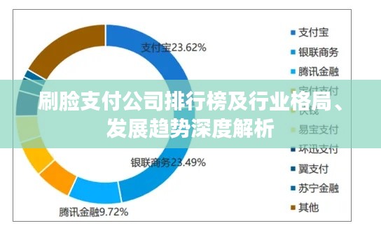 刷臉支付公司排行榜及行業(yè)格局、發(fā)展趨勢深度解析