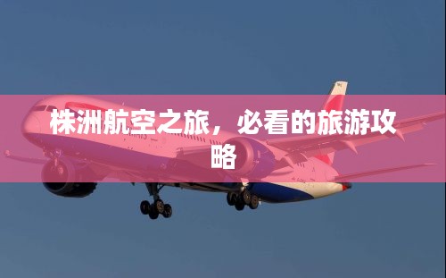 株洲航空之旅，必看的旅游攻略