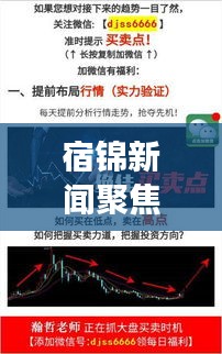 宿錦新聞聚焦時事熱點，解讀地方發(fā)展新動態(tài)